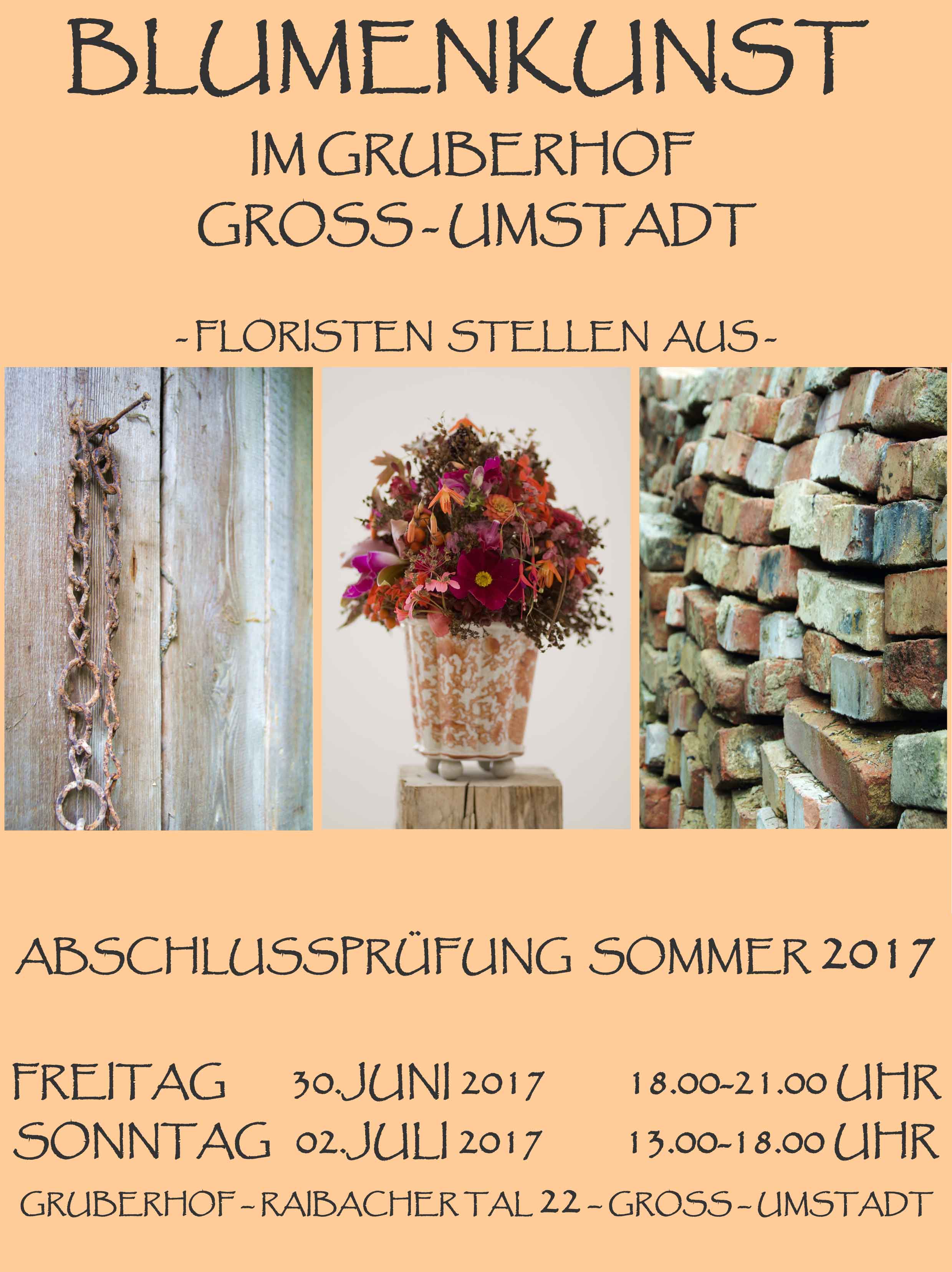 Plakatentwurf 2 2017