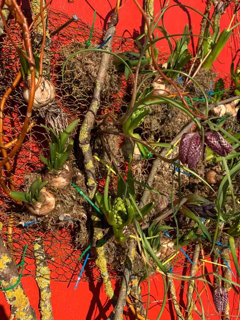 agrarfruehling04